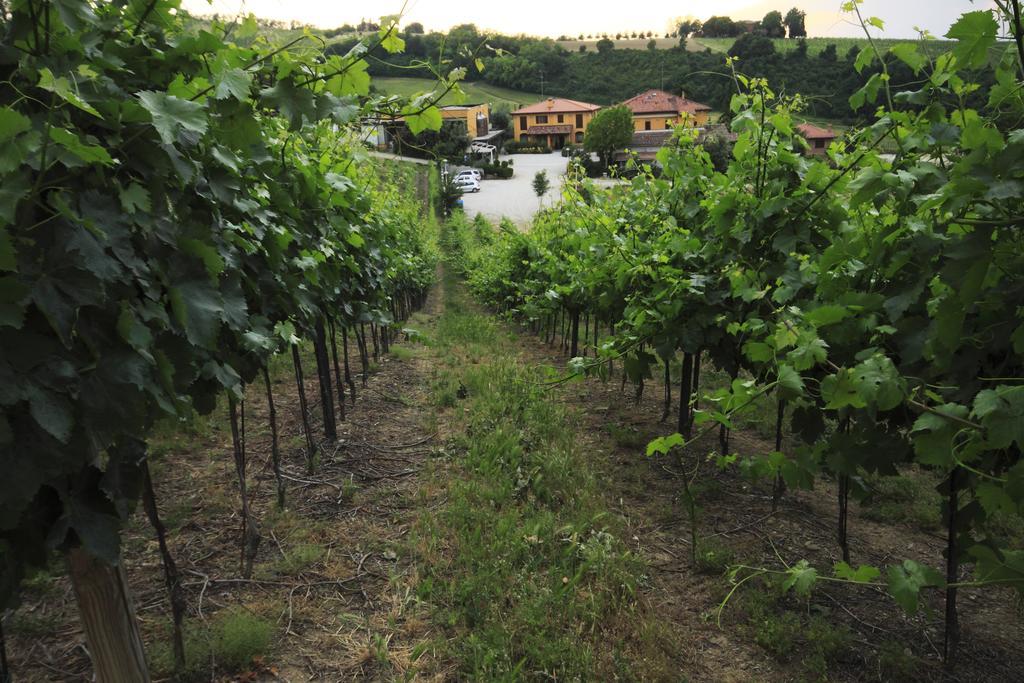 Agriturismo Gaggioli Borgo Delle Vigne Zola Predosa Eksteriør billede