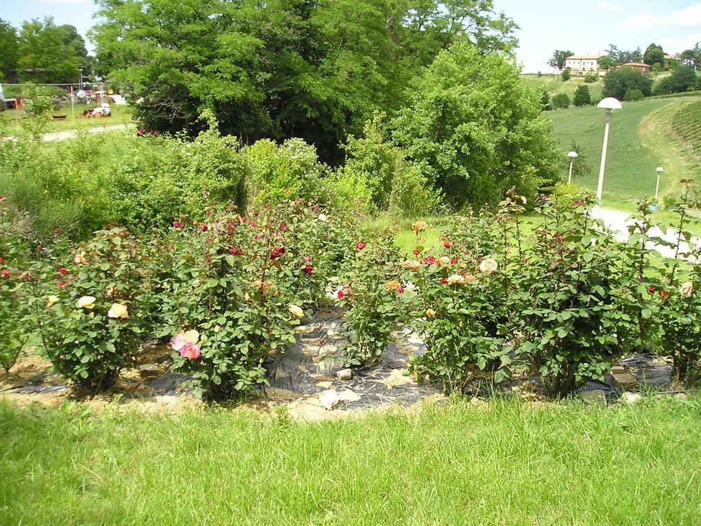 Agriturismo Gaggioli Borgo Delle Vigne Zola Predosa Eksteriør billede