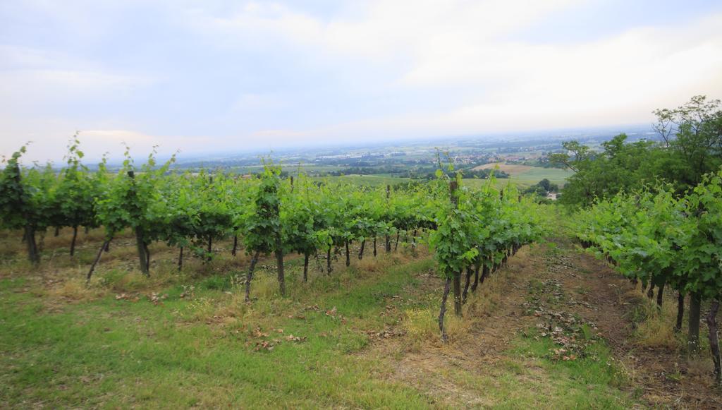 Agriturismo Gaggioli Borgo Delle Vigne Zola Predosa Eksteriør billede