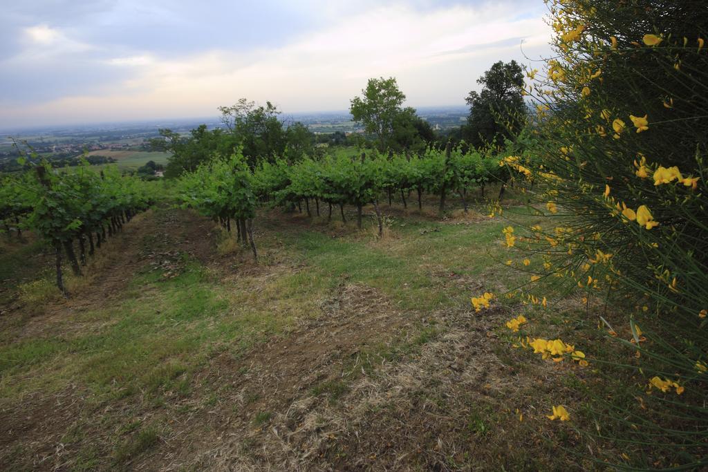 Agriturismo Gaggioli Borgo Delle Vigne Zola Predosa Eksteriør billede