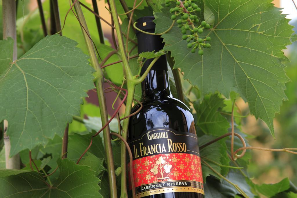 Agriturismo Gaggioli Borgo Delle Vigne Zola Predosa Eksteriør billede